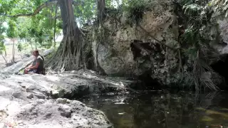Los metales detectados hace daño al organismo humano
