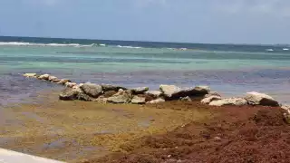 Las piedras pueden bloquear el paso a las tortugas marinas que llegan a desovar a las playas de Mahahual
