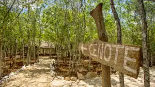 El sitio fue rellenado por la empresa porcícola