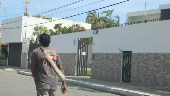En lo que va del 2022 la Fiscalía Anticorrupción del estado inició 263 investigaciones que es el 8.75%, es decir, sólo 23 de los casos son judicializados En lo que va del 2022 la Fiscalía Anticorrupción del estado inició 263 investigaciones que es el 8.75%, es decir, sólo 23 de los casos son judicializados
