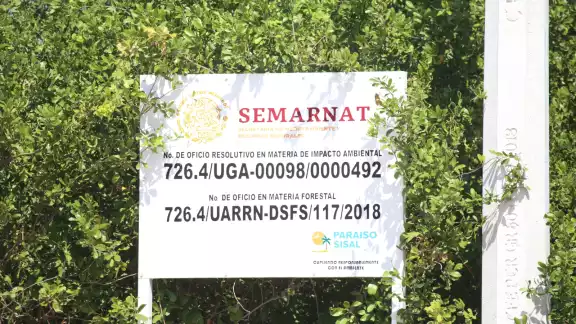 La Semarnat autorizó la ampliación y la construcción de un nuevo camino que permitiera la electrificación de la zona La Semarnat autorizó la ampliación y la construcción de un nuevo camino que permitiera la electrificación de la zona
