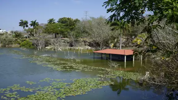 Un aproximado de 2 metros de altura de agua es lo que falta por retirarse del espacio afectado. En la zona no hay ninguna vigilancia de guardaparques Un aproximado de 2 metros de altura de agua es lo que falta por retirarse del espacio afectado. En la zona no hay ninguna vigilancia de guardaparques