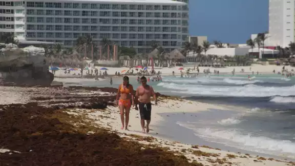 Cancún tiene cuatro playas afectadas por el sargazo, una de ellas tiene un recale excesivo de la macroalga Cancún tiene cuatro playas afectadas por el sargazo, una de ellas tiene un recale excesivo de la macroalga