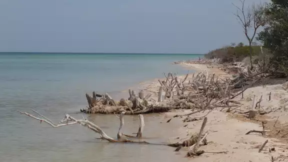 Inmobiliaria El Palmar de Sisal pidió, en 2021 permiso para construir una torre de 11 departamentos de seis niveles Inmobiliaria El Palmar de Sisal pidió, en 2021 permiso para construir una torre de 11 departamentos de seis niveles