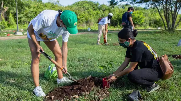 La reforestación ha sido una de las actividades más promovidas en estas fechas La reforestación ha sido una de las actividades más promovidas en estas fechas