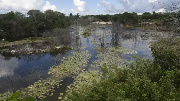 Hace dos años y medio que iniciaron los Guardaparques, de los cuales solo hay 77 en el estado Hace dos años y medio que iniciaron los Guardaparques, de los cuales solo hay 77 en el estado