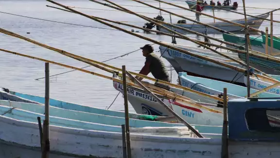 La sobrepesca y la pesca ilícita ponen en riesgo la abundancia de los mares de México, donde cuatro de cada 10 especies presentan algún grado de daño La sobrepesca y la pesca ilícita ponen en riesgo la abundancia de los mares de México, donde cuatro de cada 10 especies presentan algún grado de daño