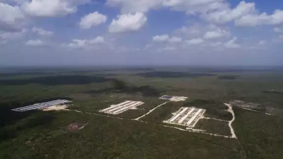 Magistrada desestima queja presentada por niños mayas de Homún por una mega granja de cerdos