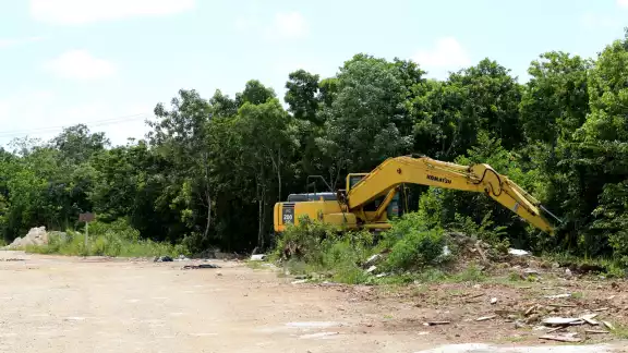 El crecimiento de la población también provocó la construcción de desarrollos habitacionales en Cancún, deforestando la selva El crecimiento de la población también provocó la construcción de desarrollos habitacionales en Cancún, deforestando la selva