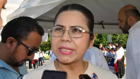 La Secretaria de Salud espera el informe oficial del Gobierno federal sobre casos de dengue
