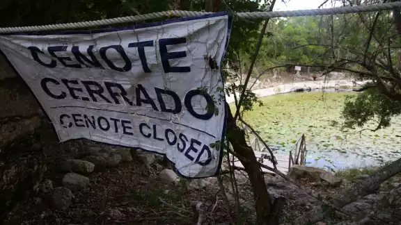Según el especialista los cuerpos de agua están infectados a causa de diversos motivos Según el especialista los cuerpos de agua están infectados a causa de diversos motivos