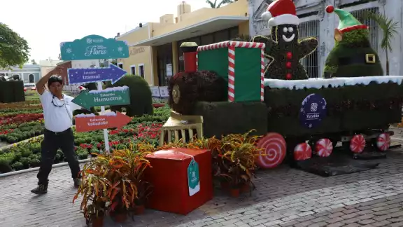 El Paseo de las Flores con temática decembrina se inaugura el día de hoy en el Parque de la Mejorada en Mérida El Paseo de las Flores con temática decembrina se inaugura el día de hoy en el Parque de la Mejorada en Mérida