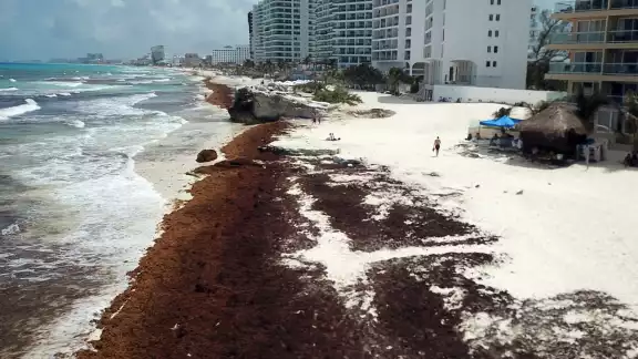 El oleaje y vientos del Potencial Ciclón Uno ayudaron a la reducción de la mancha de sargazo en Quintana Roo