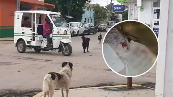 El mensaje en la muñeca hace referencia a la violencia contra las mujeres El mensaje en la muñeca hace referencia a la violencia contra las mujeres
