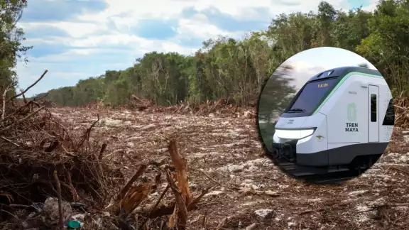 Los ingenieros de Playa del Carmen indicaron que pidieron colaborar con Fonatur para el nuevo trazo del Tren Maya, pero no recibieron respuesta