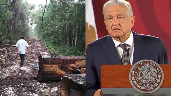 AMLO recordó que en Cancún vendieron hectáreas de manglares cuando Vicente Fox fue Presidente de México AMLO recordó que en Cancún vendieron hectáreas de manglares cuando Vicente Fox fue Presidente de México