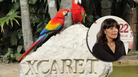 Grupo Xcaret apareció en la lista de empresas que firmaron un pronunciamiento contra el Tren Maya en Quintana Roo Grupo Xcaret apareció en la lista de empresas que firmaron un pronunciamiento contra el Tren Maya en Quintana Roo