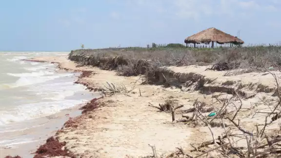 Aseguran que continuar el proyecto sólo acabará con la naturaleza Aseguran que continuar el proyecto sólo acabará con la naturaleza