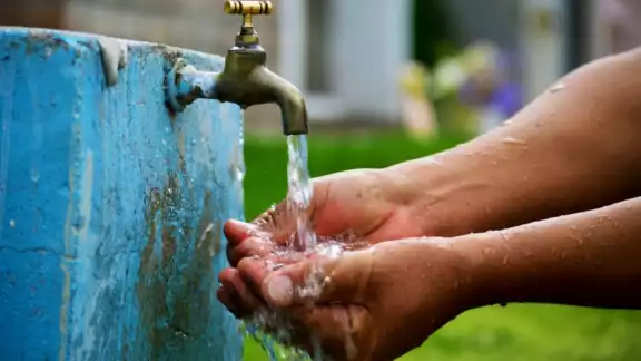 Las aguas tienen coliformes fecales de las granjas porcícolas de Kekén