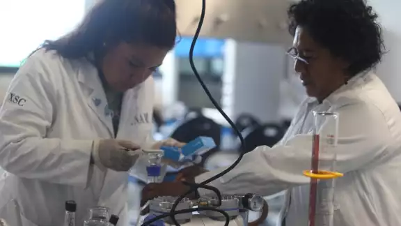 El sexo femenino “domina” en especialidades y maestrías, aunque aún se encuentran muy relegado en carreras de técnico superior y doctorado El sexo femenino “domina” en especialidades y maestrías, aunque aún se encuentran muy relegado en carreras de técnico superior y doctorado