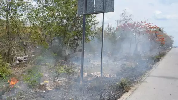 El incendio fue sofocado por bomberos de la SSP Yucatán El incendio fue sofocado por bomberos de la SSP Yucatán