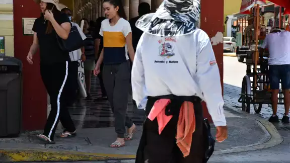 Los empleados presentaron síntomas de dengue Los empleados presentaron síntomas de dengue