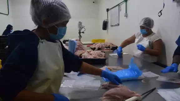 Los trabajadores suelen laborar hasta 20 horas seguidas Los trabajadores suelen laborar hasta 20 horas seguidas