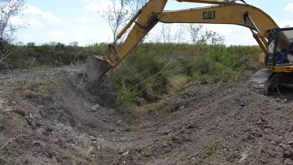El área deforestada en el municipio de Othón P. Blanco, al sur de Quintana Roo, mide alrededor de 240 kilómetros cuadrados