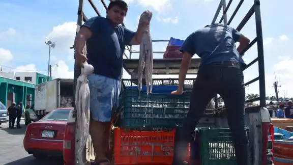 La captura de escama será la alternativa para el hombre de mar, cuando comiencen las vedas La captura de escama será la alternativa para el hombre de mar, cuando comiencen las vedas