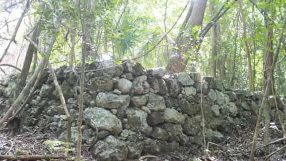 Los vestigios fueron localizados a escasos seis kilómetros de la ciudad, rumbo al camino a Vigia Chico