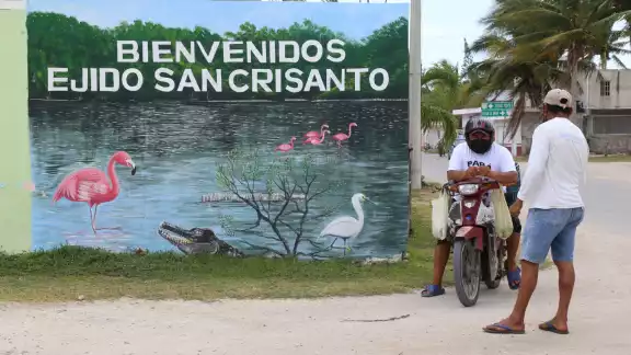 La zona cuenta con 850 hectáreas de bosque de manglar, de los cuales se registraron como área de almacenamiento 690, que son irrigadas por cenotes La zona cuenta con 850 hectáreas de bosque de manglar, de los cuales se registraron como área de almacenamiento 690, que son irrigadas por cenotes
