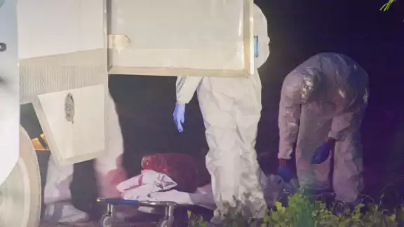 Los restos humanos fueron encontrdos en una área verde