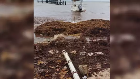 Aguakán asegura que fue la CAPA la que colocó ese tubo en la playa, pues dicen que ocurrió en 2015, antes de su llegada a la Riviera Maya Aguakán asegura que fue la CAPA la que colocó ese tubo en la playa, pues dicen que ocurrió en 2015, antes de su llegada a la Riviera Maya
