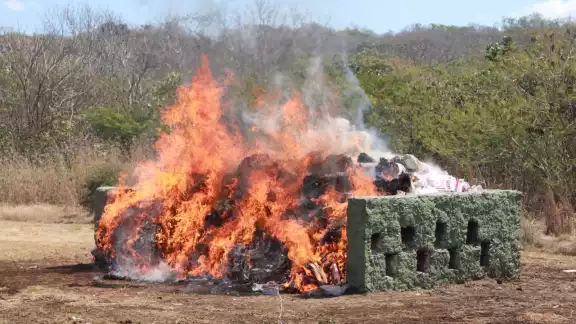 Se incineraron diversas drogas, cigarrillos y pirotecnia decomisada en Campeche