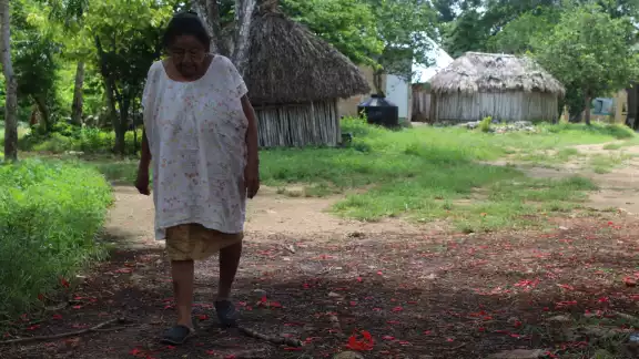 50 comunidades indígenas han presentado demandas ante los enlaces del Tren Maya
50 comunidades indígenas han presentado demandas ante los enlaces del Tren Maya