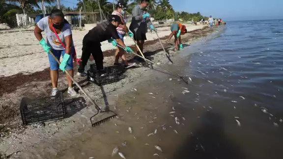 Cinco millas al Norte del puerto se desplazan otras manchas, algunas de las cuales se mantienen cerca del fondo del mar