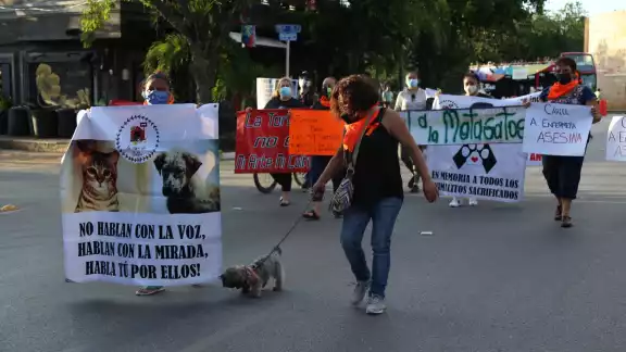Los dueños de los animales levantaron cuatro denuncias y piden que se castigue a la enfermera Los dueños de los animales levantaron cuatro denuncias y piden que se castigue a la enfermera
