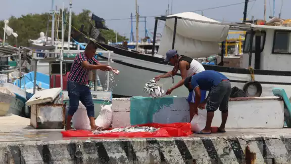 De cinco mil embarcaciones que salen al día, el 40 porciento es pesca furtiva, afirman De cinco mil embarcaciones que salen al día, el 40 porciento es pesca furtiva, afirman