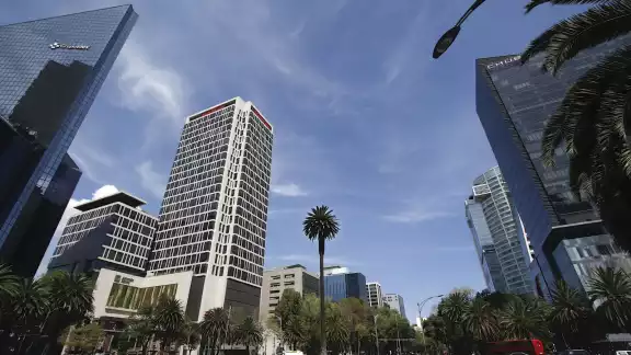 La Glorieta de la Palma tendrá ahora un ahuehuete