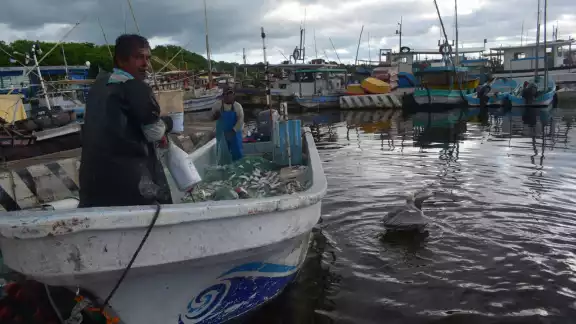 Son cinco pescadores reportados como desaparecidos en Yucatán Son cinco pescadores reportados como desaparecidos en Yucatán