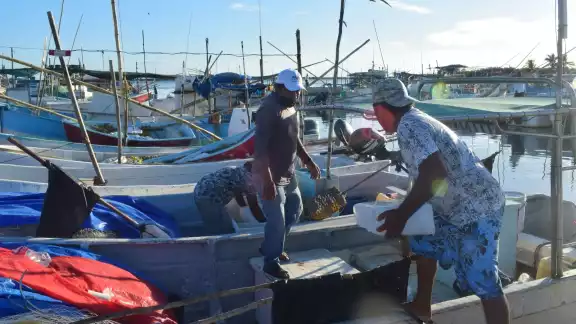 Las 900 lanchas y barcos pequeños de Progreso realizan inversiones que suman los 9 millones de pesos Las 900 lanchas y barcos pequeños de Progreso realizan inversiones que suman los 9 millones de pesos