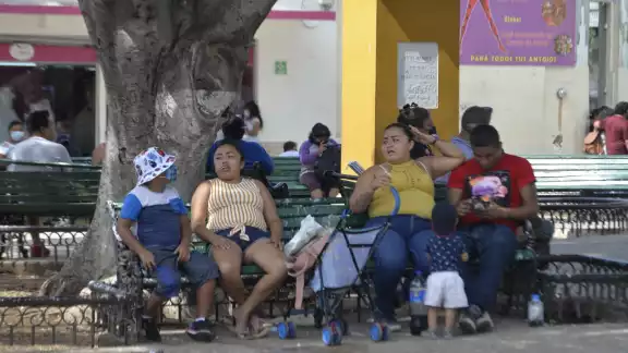 Especialistas exhortan al estado a prohibir la comida chatarra Especialistas exhortan al estado a prohibir la comida chatarra