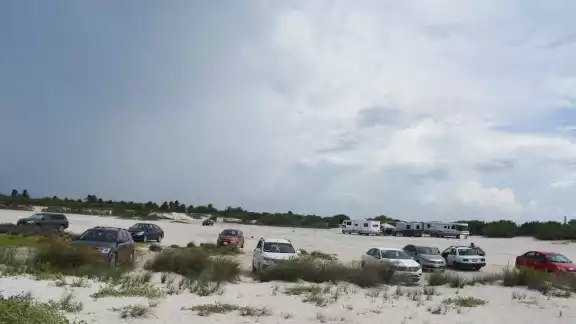 Al circular autos en zonas prohibidas de Chuburná ponen en riesgo a las tortugas Al circular autos en zonas prohibidas de Chuburná ponen en riesgo a las tortugas