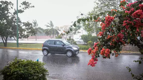 Se mantendrá el cielo medio nublado ha nublado durante el día, lluvias moderadas con puntuales muy fuertes, actividad eléctrica y rachas de viento de 40 a 50 km/h