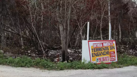 En Benito Juárez se inició un operativo para su detección, por carecer de un Plan de Desarrollo Urbano En Benito Juárez se inició un operativo para su detección, por carecer de un Plan de Desarrollo Urbano