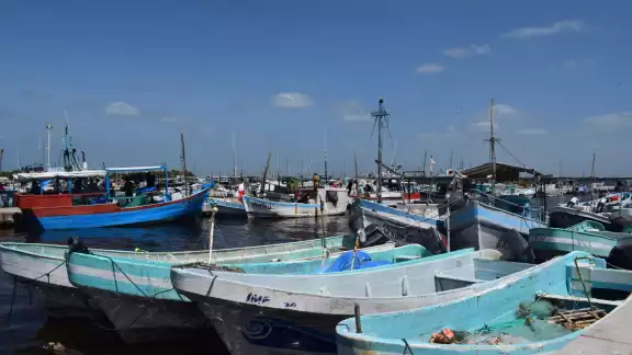 Los pescadores señalaron que hay un sobrepoblación de lanchas Los pescadores señalaron que hay un sobrepoblación de lanchas