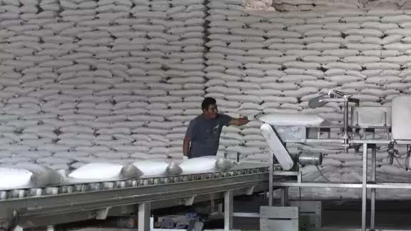 De acuerdo con los datos de la Unión Nacional de Cañeros, la caña molida bruta concluyó con 51 millones 292 mil 545 toneladas De acuerdo con los datos de la Unión Nacional de Cañeros, la caña molida bruta concluyó con 51 millones 292 mil 545 toneladas