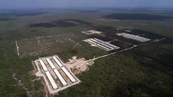 En la adjudicación irregular de más de 500 mil hectáreas en la península, están implicados políticos, funcionarios y empresarios En la adjudicación irregular de más de 500 mil hectáreas en la península, están implicados políticos, funcionarios y empresarios