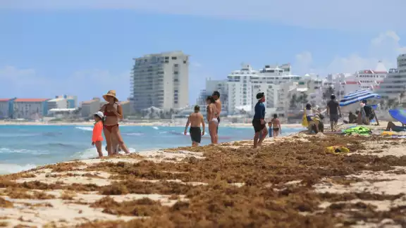 En Cancún y Cozumel hay playas con excesivo recale de sargazo, según lo informó la Red de Monitoreo de la macroalga En Cancún y Cozumel hay playas con excesivo recale de sargazo, según lo informó la Red de Monitoreo de la macroalga