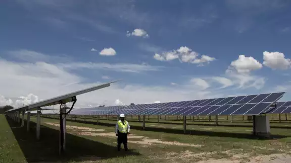 Se espera que el parque fotovoltaico se construya sobre al menos 246 hectáreas de selva en Valladolid